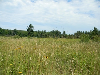 V/L W Hammett Rd, Pentwater, MI 49449