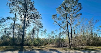 0 Langford Ln Unit 383504, Perry, FL 32347