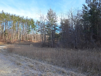 V/L Devolder Rd, Star Township, MI 49730