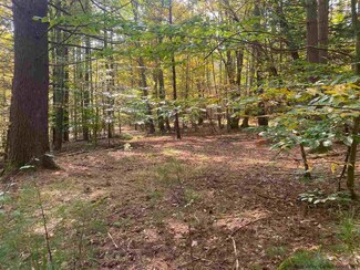 35 Bridge Hollow Rd, Woodstock, NY 12495