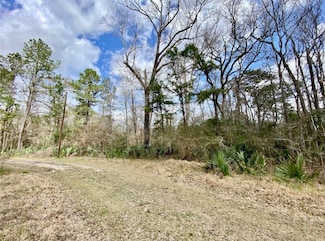 0 Puppy Ln, Crosby, TX 77532