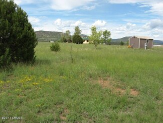 279 N Rolling Hills Rd Unit X, Young, AZ 85554