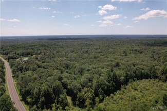 0 County Route 17, Williamstown, NY 13493