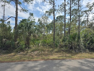 14055 Rider Ave, Port Charlotte, FL 33953