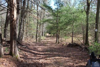 48 Pine Grove Rd, Kerhonkson, NY 12446