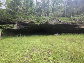 Tbd Pool Holler Cave Rd, Rolla, MO 65401