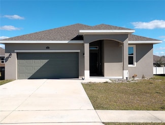 37030 Lake Overlook Dr, Grand Island, FL 32735