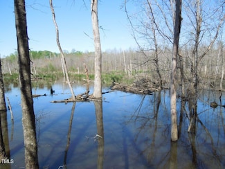 Tbd Piedmont Ave, Gibsonville, NC 27249