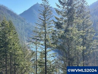 0 Hwy 22(big Cliff View)sardine Rd Unit 820451, Gates, OR 97346