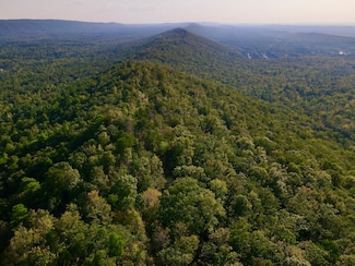 0 Shephard Branch Trail Unit 11352569, Leeds, AL 35094