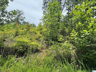 0 County Road 214 Unit 39 21422168, Delta, AL 36258