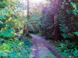 0 Colony Mountain Rd Unit 1209028, Bow, WA 98232