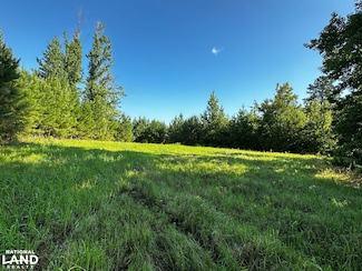0 County Road 61, Pine Apple, AL 36768