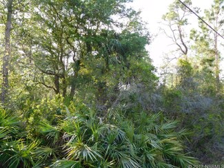 1950 Maytown Rd, Oak Hill, FL 32759