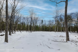 TBD Reilly Rd, Kingston, NY 12401