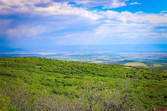 0 Highway 65 Unit 20251416, Eckert, CO 81413