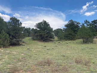 100 Kelsey Ct, Cotopaxi, CO 81223