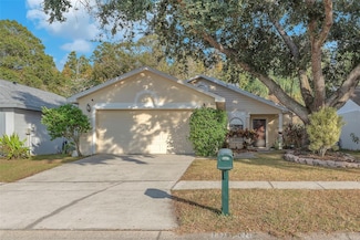 10838 Peppersong Dr, Riverview, FL 33578