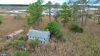 2205 Toddville Pond Rd, Toddville, MD 21672