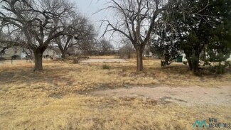 TBD S E St, Tatum, NM 88267