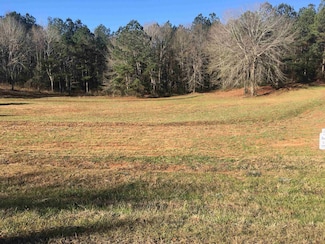 000 Summer Lane Rd, Andalusia, AL 36421