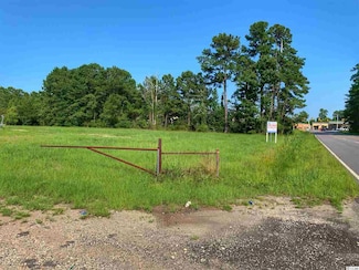 TBD Salem Rd Unit 4 Acres Margaret Dri, Myrtle Beach, SC 29588
