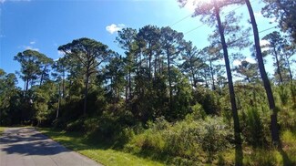 Lot 56 & 57 Hibiscus Ave, Paisley, FL 32767