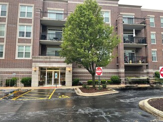 50 S Greeley St Unit 408, Palatine, IL 60067