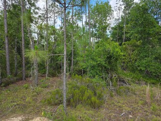 TBD NE 131 Ct, Williston, FL 32696