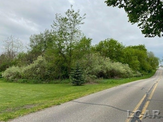 8000 BLK LOT 8 Stephenson Rd, Onsted, MI 49265