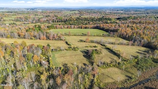 207 Kropp Rd, Westerlo, NY 12193