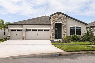 13136 Wellspring Dr, Lithia, FL 33547