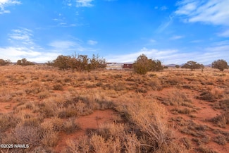 3311 S Berkley St, Valle, AZ 86046