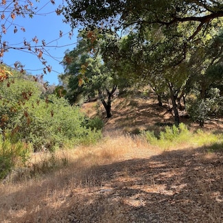 15580 Armsby Ln, Morgan Hill, CA 95037