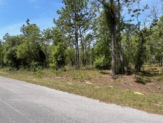 0 SW Hillard Ave Unit MFROM678135, Dunnellon, FL 34431