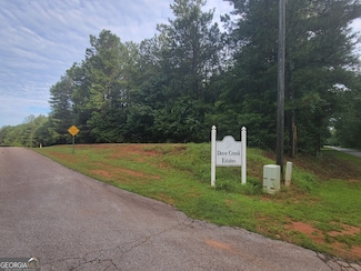 0 Stinchcomb Rd Unit 9 10587637, Elberton, GA 30635