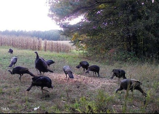 0000 Fielding Knott Rd, Oxford, NC 27565