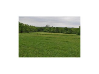 339th McClellen Rd, Drexel, MO 64742