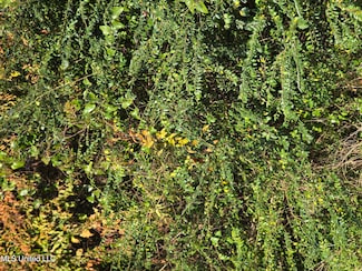 0 Kings Rd, Moss Point, MS 39562