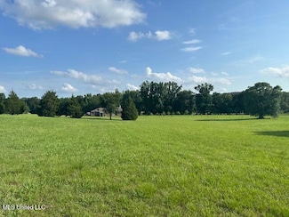 23 Commissary Cove, Olive Branch, MS 38654