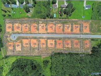 Lot 1 Olivia Rd, Tanner, AL 35671