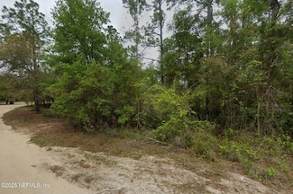 164 Lake Cir, Satsuma, FL 32189