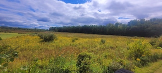 18805 62nd St, Bangor, MI 49013