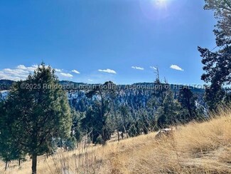 210 Forest Ln, Ruidoso, NM 88345