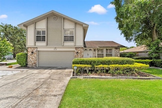 5502 Bluejay Ln, Tampa, FL 33625