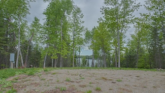 53550 Little Bear Trail, Stokes Township, MN 56628