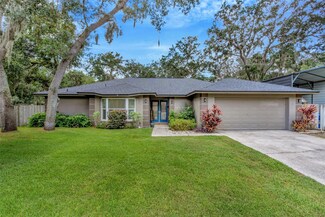 3923 Applegate Cir, Brandon, FL 33511