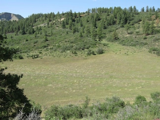 9144 W U S Highway 160, Pagosa Springs, CO 81147