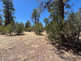 TBD Between 2901 & 2905 Pine Rim Rd Unit 154B, Overgaard, AZ 85933