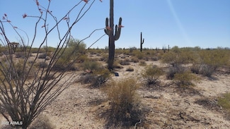 TBD N Wildwood Rd, Florence, AZ 85132